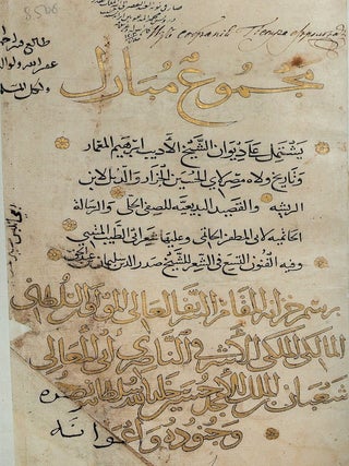"Podarok sozertsaiushchim": Stranstviia Ibn Battuty ("A Gift to Contemplators" Ibn Battutah's Travels), 9785935726195