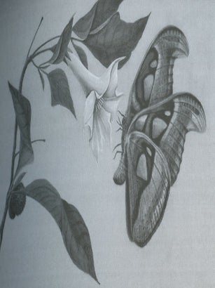 Trudy Gosudarstvennogo Ermitazha, LXXIX, Knigi imeiut svoiu sud'bu. Materialy nauchnoi konferentsii, posviashchennoi 250-letiiu biblioteki Godudarstvennogo Ermitazha (1762 – 2012) / Transactions of the State Hermitage Museum, LXXIX, Books Have Their Own Destiny. Based upon the proceedings of the conference marking the 250th anniversary of the State Hermitage Library (1762 – 2012)