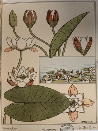 Podnesenie k Rozhdestvu. Obraztsovaia kollektsiia v stile moderna. Imperatorskii farforovyi i stelliannyi zavody na rubezhe XIX i XX vekov (A Christmas Offering: The Art Nouveau collection par excellence: the Imperial Porcelain and Glass Manufactories at the turn of the 20th c.)