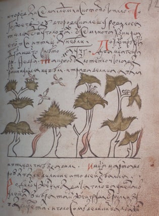 Letopisets nebesnykh znamenii: litsevoi rukopisnyi sbornik XVII veka iz sobraniia Rossiiskoi akademii nauk, Tom I, Faksimil'noe vosproizvedeniie sbornika (The chronicler of celestial events: illuminated seventeenth-century compendium from the collection of the Library of the Russian Academy of Sciences, Volume 1: facsimile of the compendium)