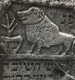 Zabytye kamni: Evreiskie nadgrobiia v Moldove / Forgotten Stones: Jewish Tombstones in Moldova