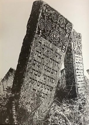 Zabytye kamni: Evreiskie nadgrobiia v Moldove / Forgotten Stones: Jewish Tombstones in Moldova