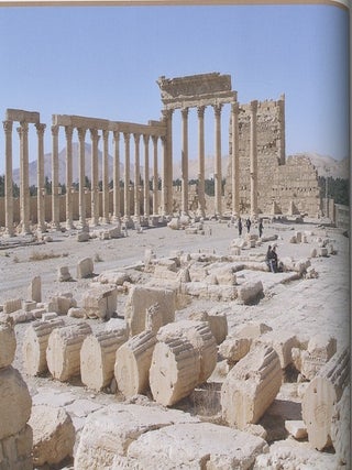Pal'mira v Ermitazhe / Palmyra in the Hermitage
