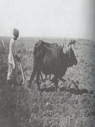 Otchet S. M. Dudina o poezdkakh v Sredniuiu Aziiu v 1900–1902 gg. s fotografiiami S. M. Dudina (S. M. Dudin's report on expeditions to Central Asia 1900–02)