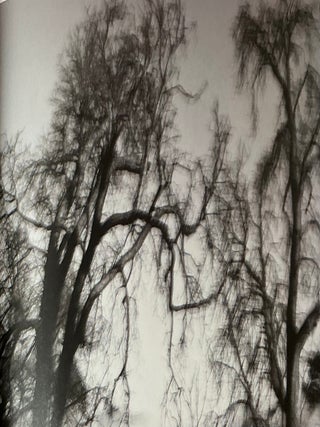 Charles March: Nature Translated