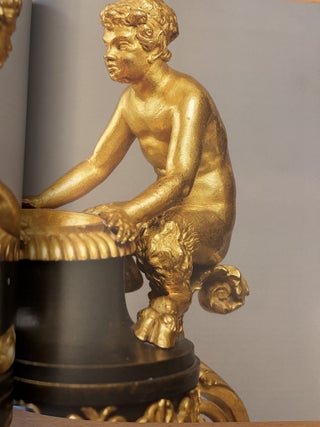 Gosudarstvennyi muzei-zapovednik Pavlovsk: Polnyi katalog kollektsii, tom X, Metall, bronza, vypusk 4, Kaminnye i nastol'nye aksessuary XVIII – nachalo XX veka (Pavlovsk Palace-Museum: Complete Catalogue of the Collections, vol. X, Metal, bronze, vypusk 4, fireplace and table accessories, 18th to the early 20th c.)