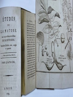 K istorii dvortsovoi biblioteki (Towards a history of the Palace Library)