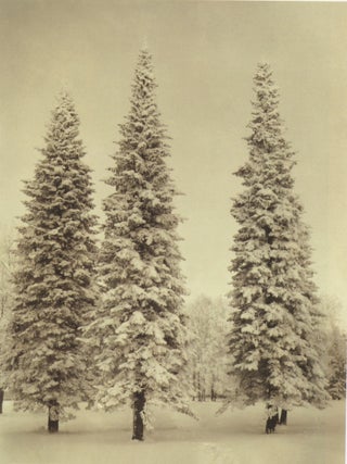 Gosudarstvennyi muzei-zapovednik Pavlovsk: Polnyi katalog kollektsii, tom V, Zhivopis’, vypusk 1, Zhivopis’ Gollandii i Flandrii XVI–XVIII vekov (Pavlovsk State Museum-Preserve: Complete Catalogue of the Collections, vol. V, Painting, vypusk 1, Dutch and Flemish Painting of the XVI to the XVIII c.)