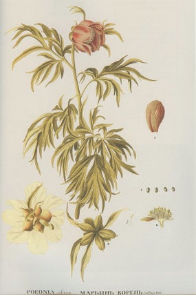 Moda na botaniku: tsvetochnyi mir Petergofa (Botanical Vogue: Flora of Peterhof)